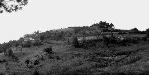 Copia di bizisuvran compressa